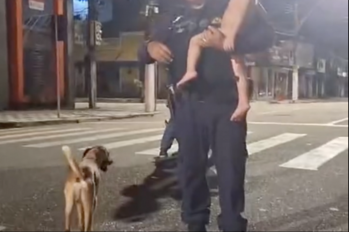 O casal foi conduzido à Delegacia Seccional do Brás para prestar esclarecimentos. A criança e o cachorro foram devolvidos à família.