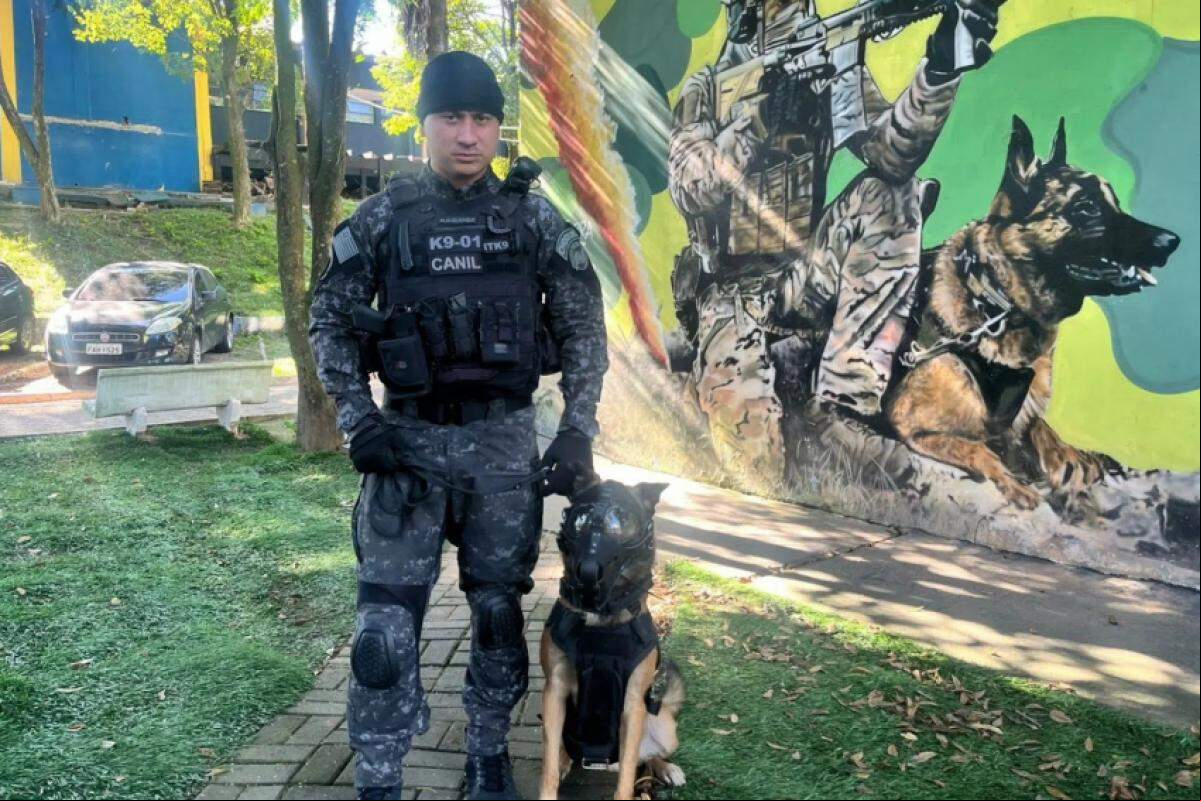 O cão policial Coyote fez história na Polícia Militar de todo o Brasil